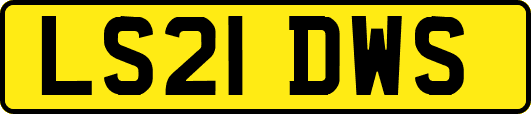 LS21DWS