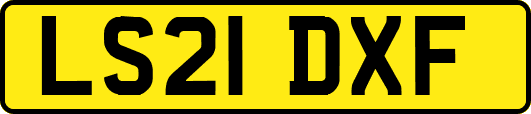 LS21DXF