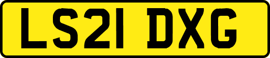 LS21DXG
