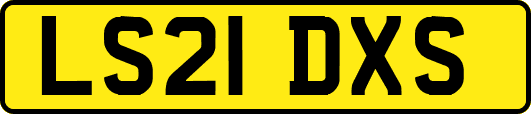 LS21DXS
