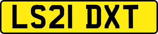 LS21DXT