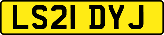 LS21DYJ