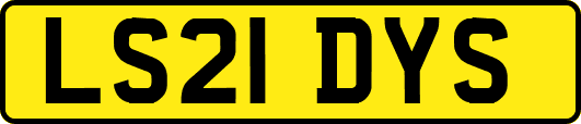 LS21DYS