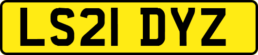 LS21DYZ