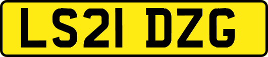 LS21DZG