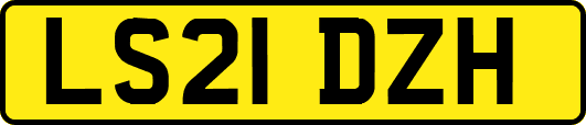 LS21DZH