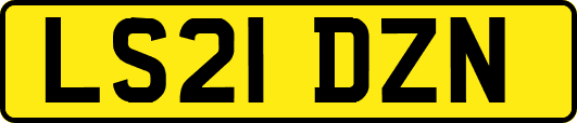 LS21DZN
