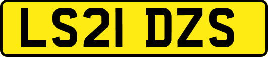 LS21DZS