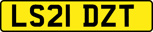 LS21DZT