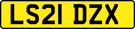 LS21DZX