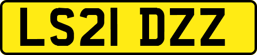LS21DZZ