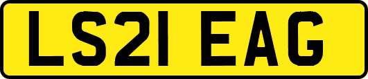 LS21EAG