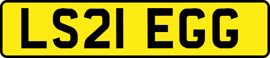 LS21EGG