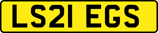LS21EGS