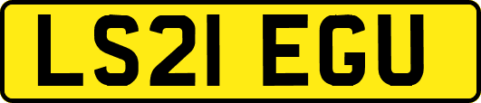 LS21EGU