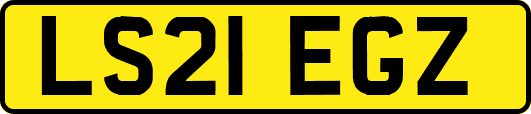 LS21EGZ