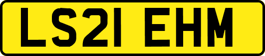 LS21EHM