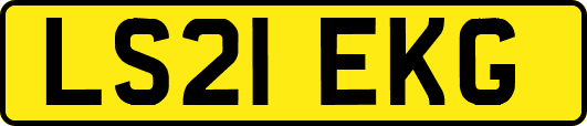 LS21EKG