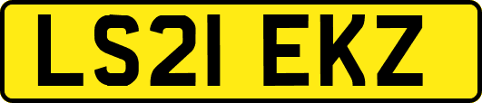 LS21EKZ