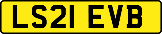 LS21EVB