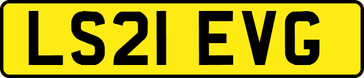 LS21EVG