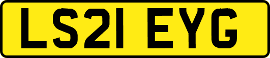 LS21EYG
