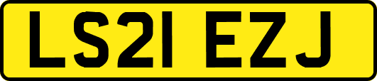 LS21EZJ