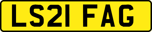 LS21FAG