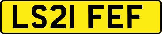 LS21FEF