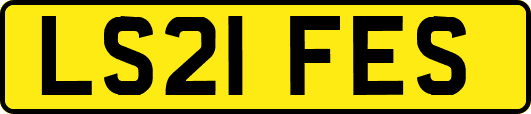LS21FES