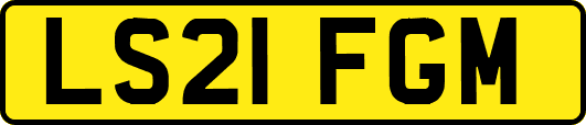 LS21FGM
