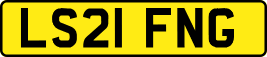 LS21FNG
