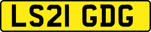 LS21GDG