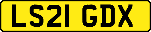 LS21GDX