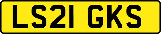 LS21GKS