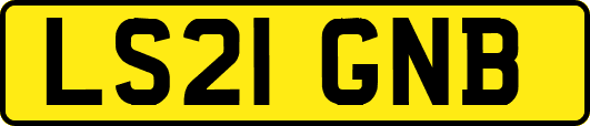 LS21GNB