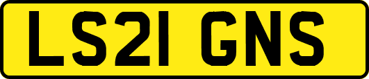 LS21GNS