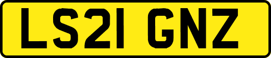 LS21GNZ