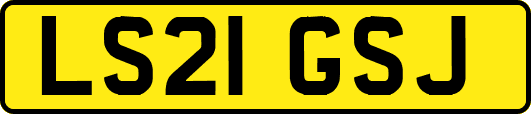 LS21GSJ