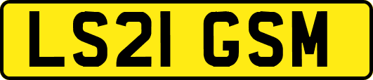 LS21GSM