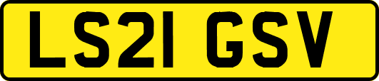 LS21GSV