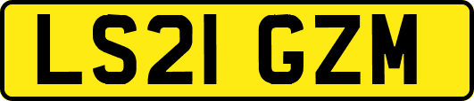 LS21GZM