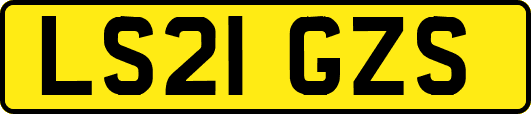 LS21GZS