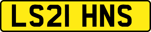 LS21HNS