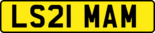 LS21MAM