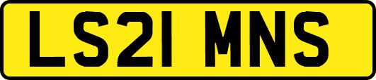LS21MNS