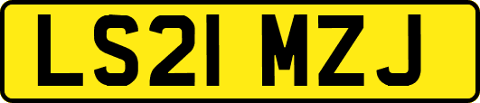 LS21MZJ