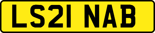 LS21NAB