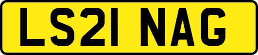 LS21NAG