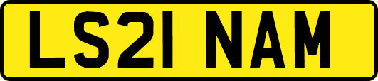 LS21NAM